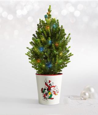 Miniature Christmas Tree